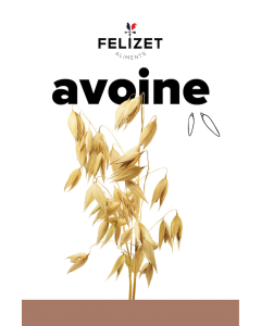 Avoine