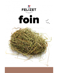 Foin