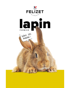 Lapin