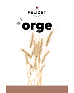 Orge