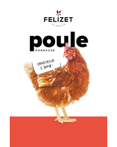 Poule